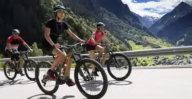 Vélos Électriques